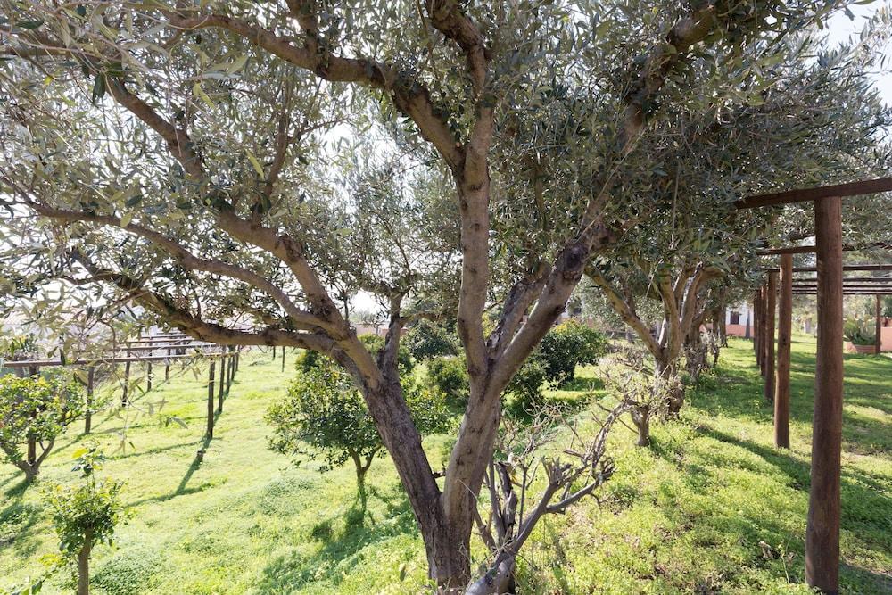 קאפו ואטיצ'אנו Residence Esmeraldo מראה חיצוני תמונה