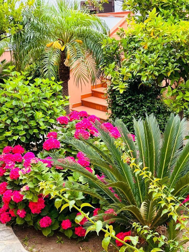 קאפו ואטיצ'אנו Residence Esmeraldo מראה חיצוני תמונה